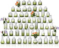 Glass Bud Vase Set of 60 by Ulodimi