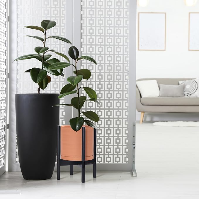 D'vine Dev Terracotta Pot with Ebony Wood Stand, 10 in, 55-B-L-5 | Mid-Century - Image 6