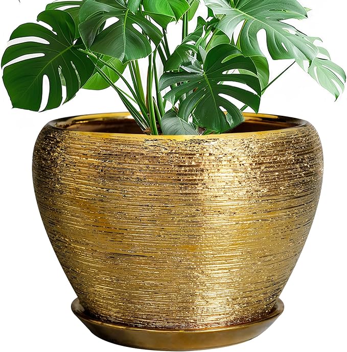 Ceramicfor Ceramic Planter 10 Inch by Ceramicfor