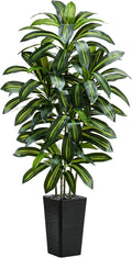 Artificial Dracaena Tree: 6FT Fake Plants Silk Faux Trees（Black Pot） | by TNGGNT