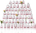 Glass Bud Vase Set of 60 by Ulodimi