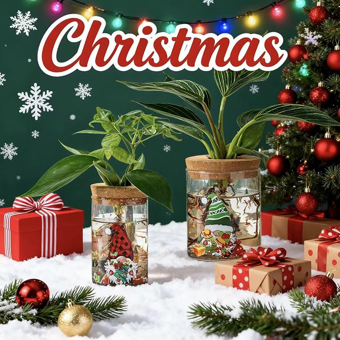 Christmas Vase, Christmas Themed Propagation Stations, Glass Propagation Vases - Image 3