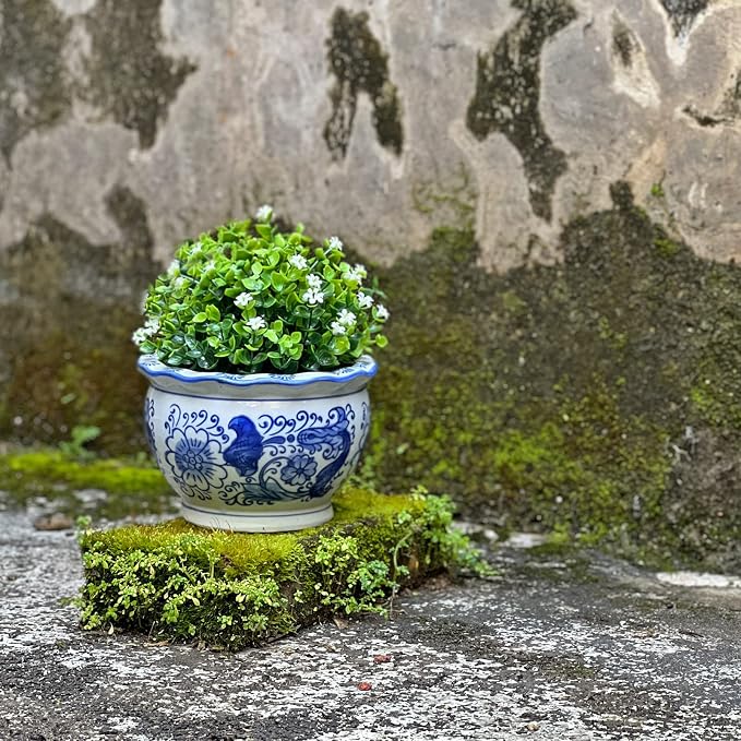 HakkaGirl Blue and White Planters, Succulent Pots Ceramic Plant Pots Indoor - Image 7