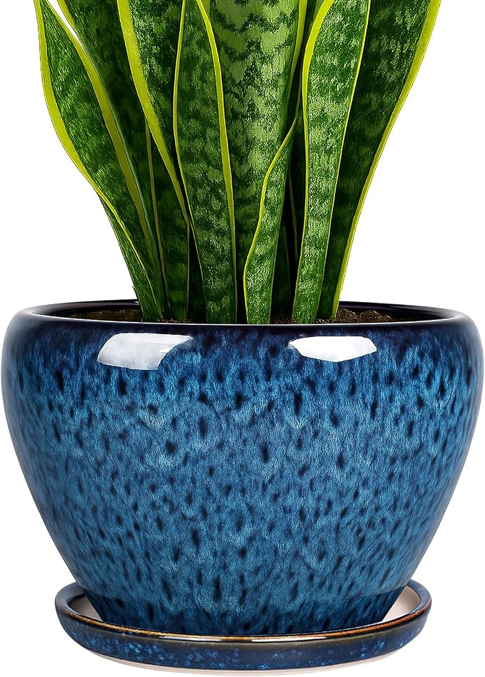 Deep Dream 8 Inch Plant Pots- Ceramic Pots by DeepDream