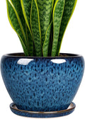 Deep Dream 8 Inch Plant Pots- Ceramic Pots by DeepDream