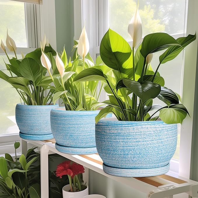 SQOWL Ceramic Planters for Indoor Plants - Image 5