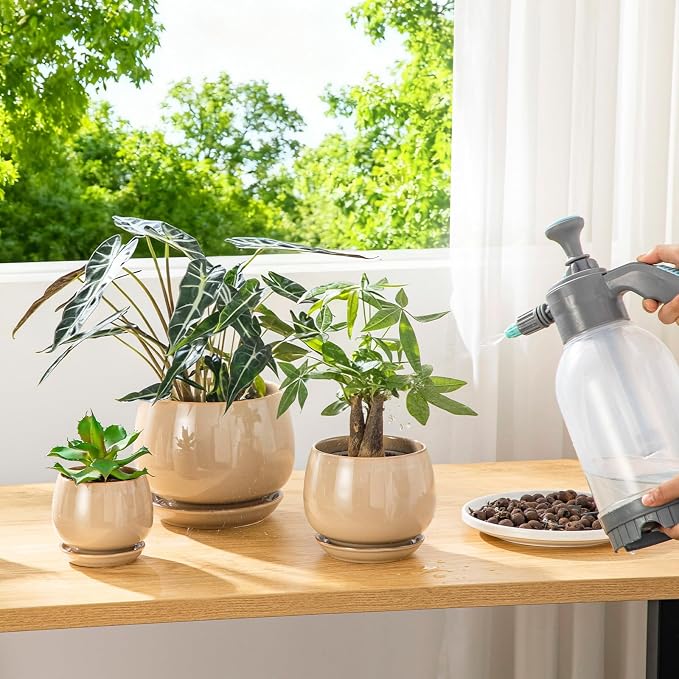 vancasso 3-Pack Ceramic Plant Pots, 3.7/4.8/6.2 Inch Indoor Planters - Image 6