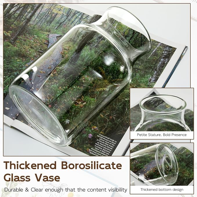 Clear Glass Vase, 8 inch Glass Flower Vase - Image 6