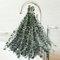 36 PCS Dried Eucalyptus for Shower Hanging 17 Preserved Eucalyptus Stems | by Koceko
