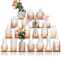 Glass Bud Vase Set of 20 by Ulodimi