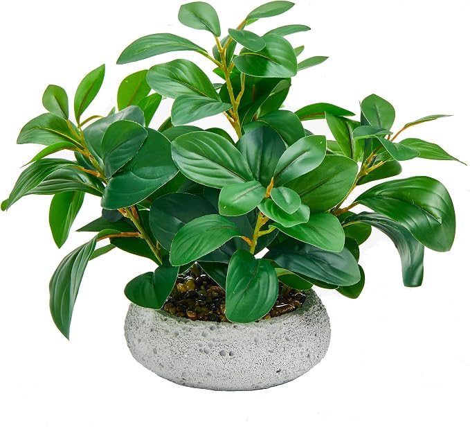 K&Y Realistic Artificial Potted Plants Olive Wild Fern Berry Decor Low by FreeCollocationShowYourself