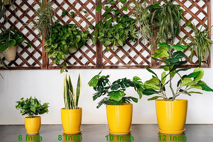 Ceramic Pots for Plants - Image 9