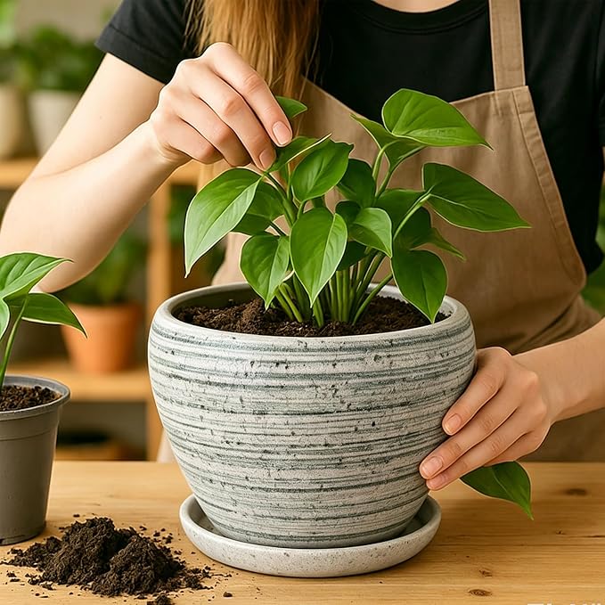 Deep Dream 8 Inch Plant Pots- Ceramic Pots - Image 5