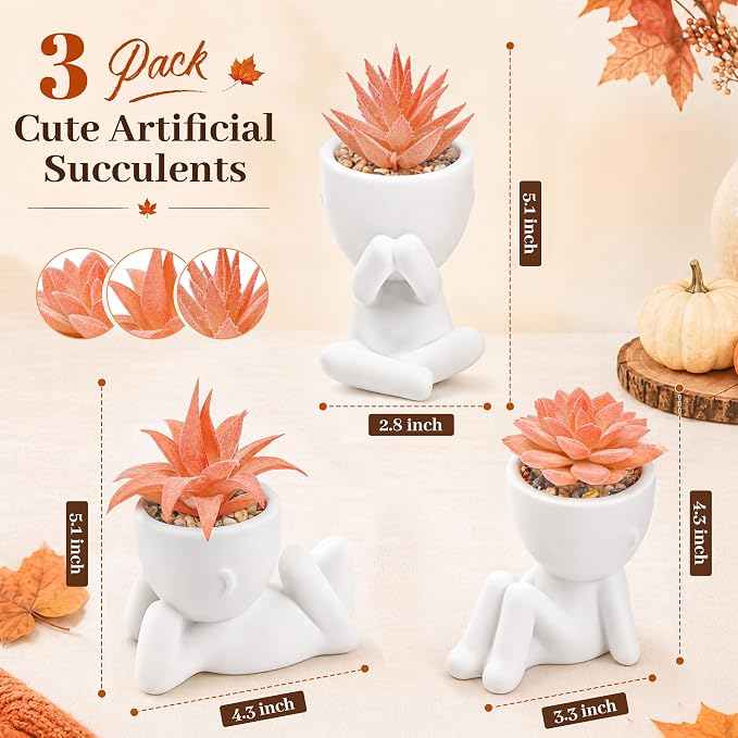 Der Rose 3 Pack Fall Fake Succulents Plants Autumn Room Decor - Image 2