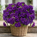 lovemoon 8 Pcs Artificial Geranium Plant Realistic Silk Flowers by Lovemoon