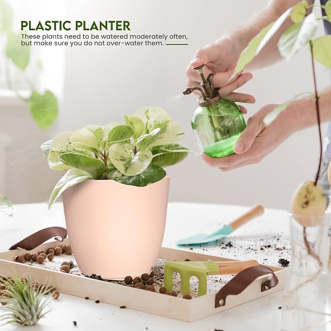 Plant Pots Indoor with Drainage, 5 Pack Multi-Size Planters Set - Image 4