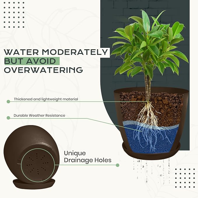 Plant Pots Indoor with Drainage, 10 Pack Multi-Size Planters Set - Image 3