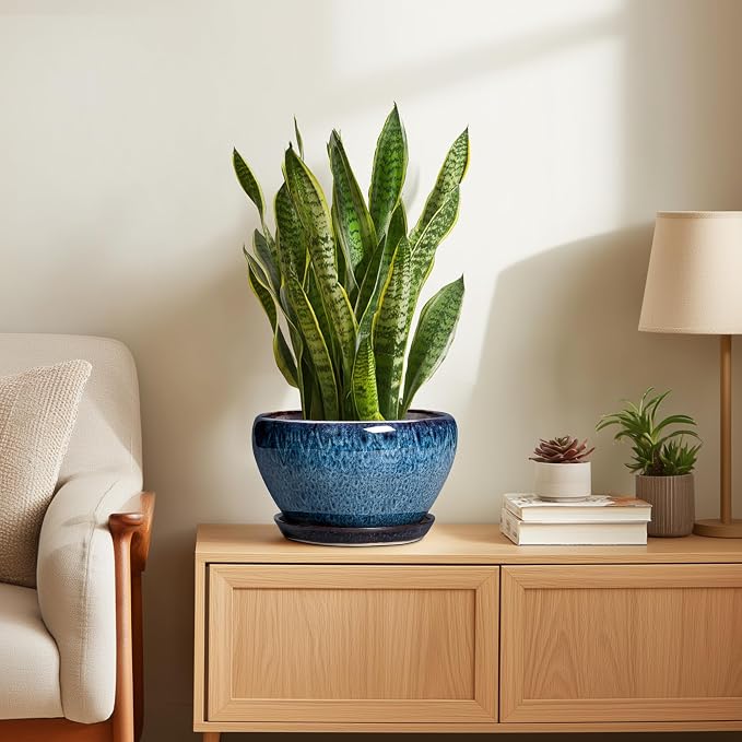Ceramicfor Ceramic Pots for Plants - Image 4
