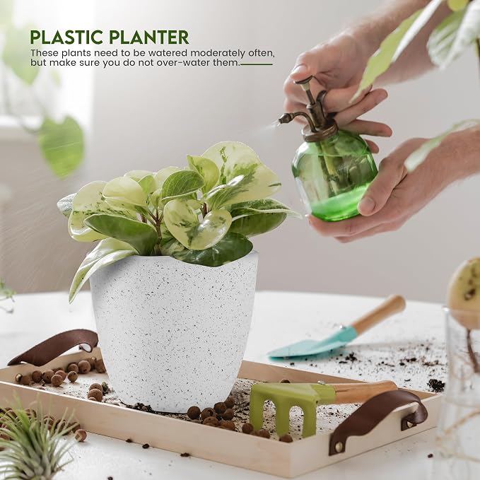 Plant Pots Indoor with Drainage 5 Pack Multi-Size Planters Set Spotty Grey | - Image 3