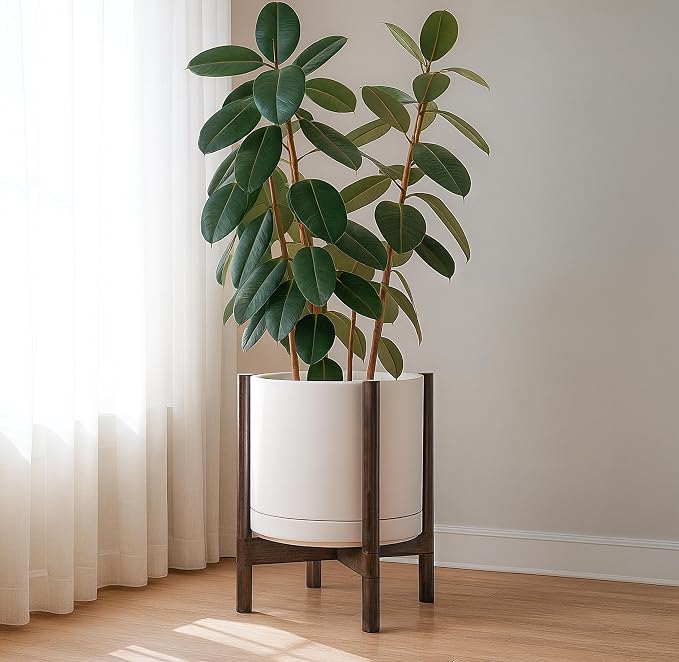 D'vine Dev Ceramic Pot with Walnut Wood Stand, 14 in, 55-B-T-8 | Mid-Century - Image 2