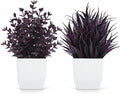 Der Rose 2 Pack Plum Small Fake Plants by DerRose