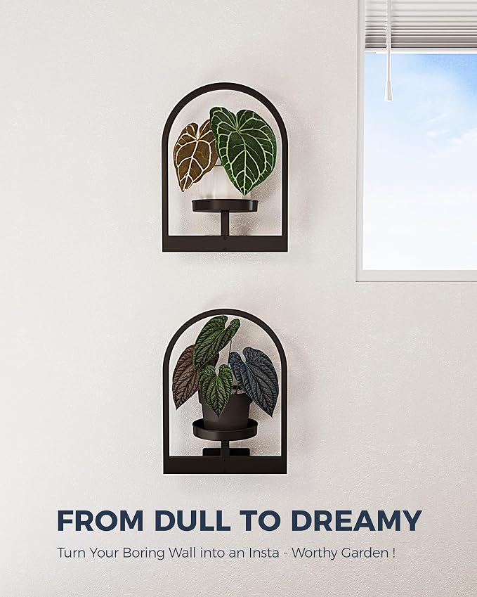 Bamworld Wall Plant Holder Plant Stand Indoor Wall Planters Round | Wall - Image 4