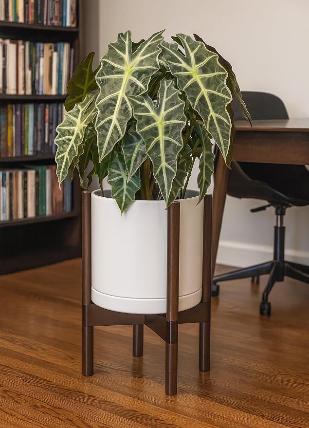 D'vine Dev Ceramic Pot with Walnut Wood Stand, 10 in, 55-B-X-8 | Mid-Century - Image 4