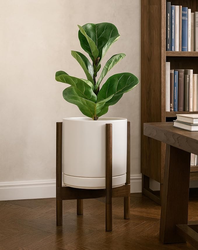 D'vine Dev Ceramic Pot with Walnut Wood Stand, 10 in, 55-B-X-8 | Mid-Century - Image 6