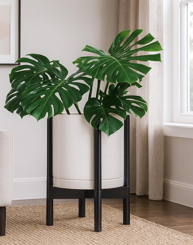 D'vine Dev Ceramic Pot with Ebony Wood Stand, 12 in, 55-B-H-8 | Mid-Century - Image 2