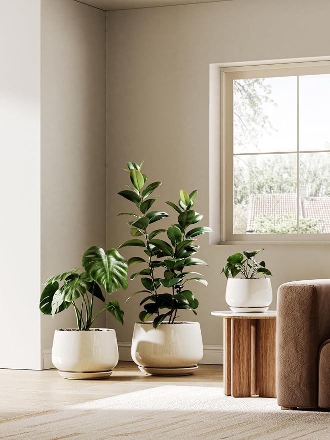 LE TAUCI Ceramic Planter, 10 Inch Plant Pot - Image 6