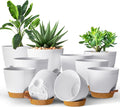Utopia Home Self Watering Pots for Indoor Plants 6.8"/6.4"/5.9"/5.5"/4.9" by UTOPIAHOME