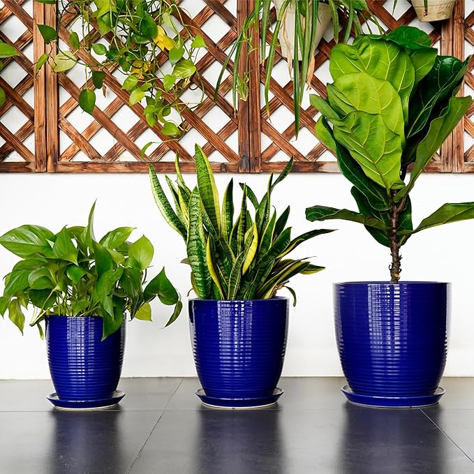 Ceramic Planter Pot - Image 7