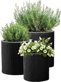 Keter Cylinder Set of 3 Rattan Resin Planter by Unknown