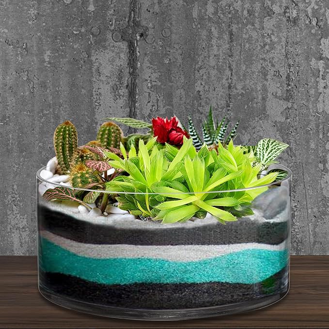 Wide Glass Cylinder Vase, Cylinder Terrarium Bowl, Decorative Centerpiece - Image 6