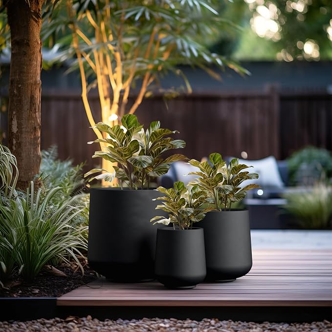 Kante Set of 3 Black Concrete Curved Round Planters - Image 5