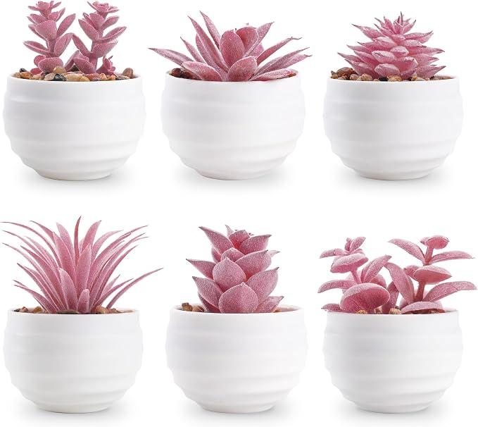 Der Rose 6 Pack Fake Succulent Plants in White Pots by DerRose