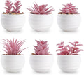 Der Rose 6 Pack Fake Succulent Plants in White Pots by DerRose