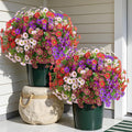 Alupssuc 40 Bundles Artificial Daisies Flowers Fake Silk Plant by Alupssuc