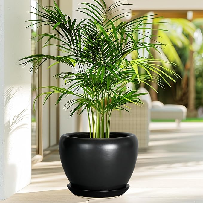 Ceramicfor Ceramic Planter Pot - Image 2