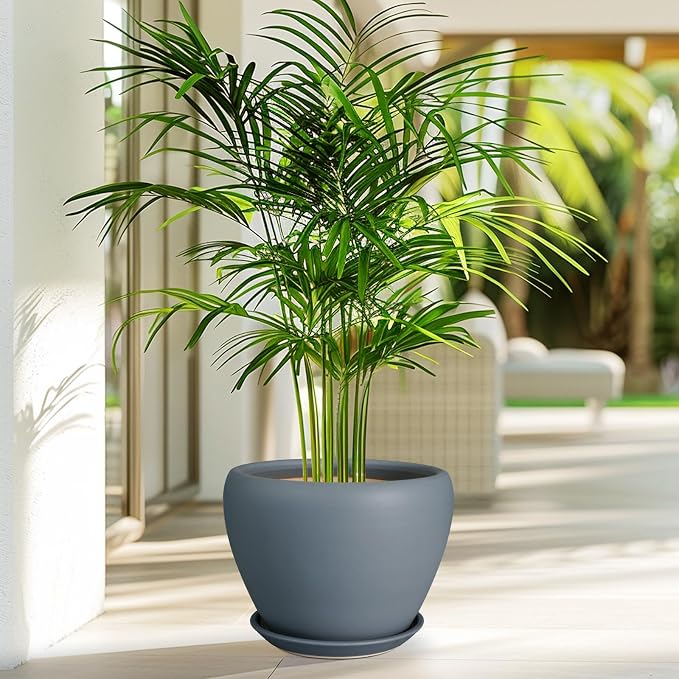 Ceramicfor Ceramic Pot for Plants, 8 Inch Plant Pot, Matte Gray | Plant Pots - Image 5