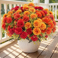 12 Pcs Artificial Mums Flowers for Outdoor, UV Resistant Fake fall by Lovemoon