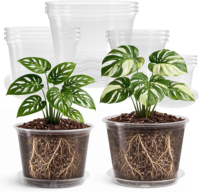 Bluepro Clear Nursery Pots by Bluepro