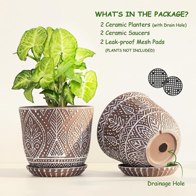 Gepege Ceramic Plant Pots, 6 Inch Indoor Planters - Image 3