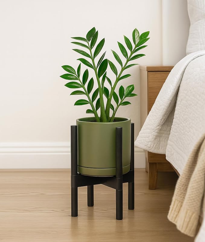 D'vine Dev Ceramic Pot with Ebony Wood Stand, 8 in, 55-B-M-J | Mid-Century - Image 6