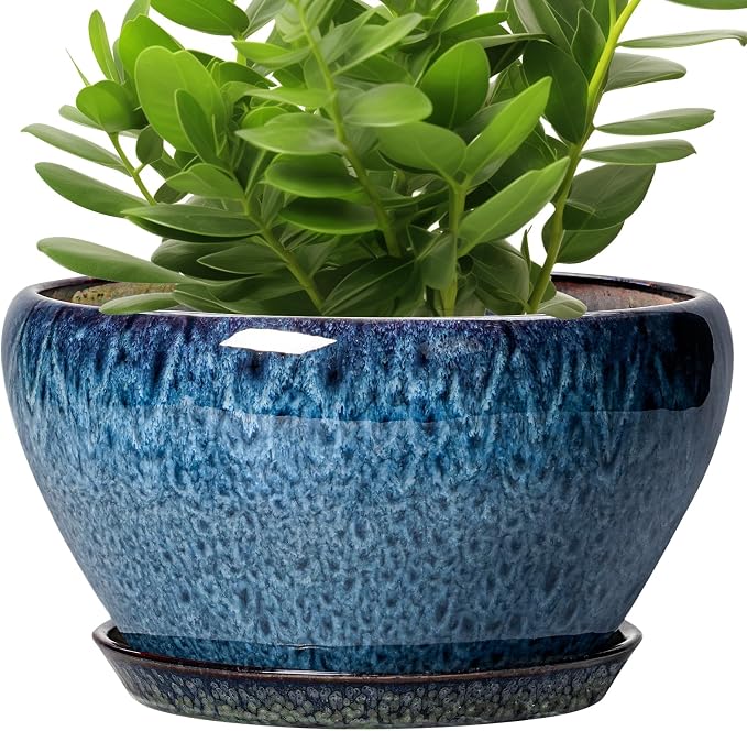 Ceramicfor Ceramic Planter 11 Inch by Ceramicfor