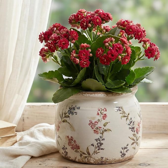 Xiaan Jiaju Flower Pots, Vintage Antique Ceramic Planters - Image 2