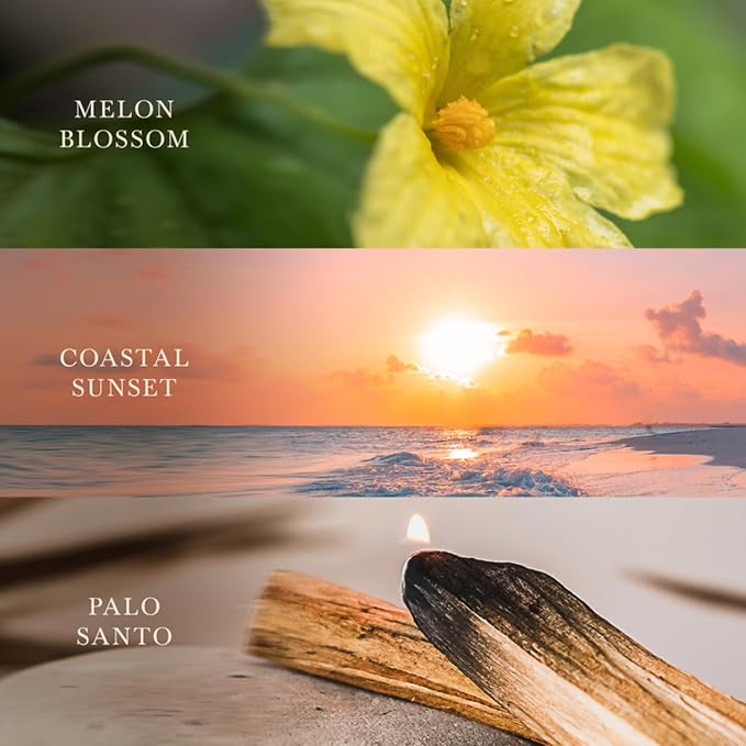 WoodWick Shoreline Trilogy Gifts - Image 3