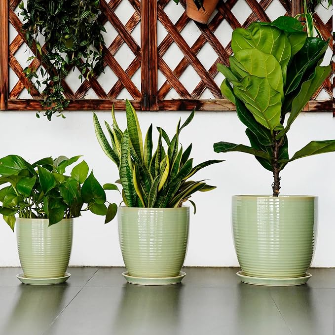 Ceramic Pots for Plants - Image 7