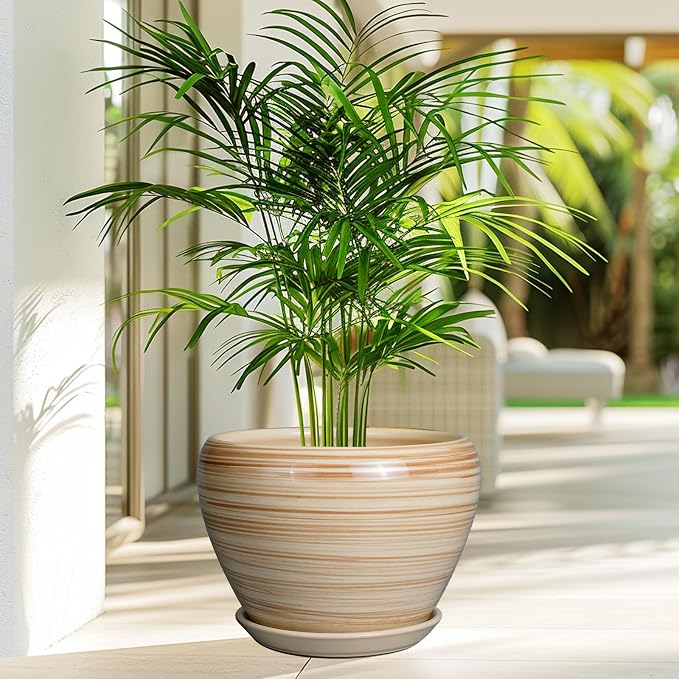 Ceramicfor Ceramic Pot for Plant 10 Inch - Image 4