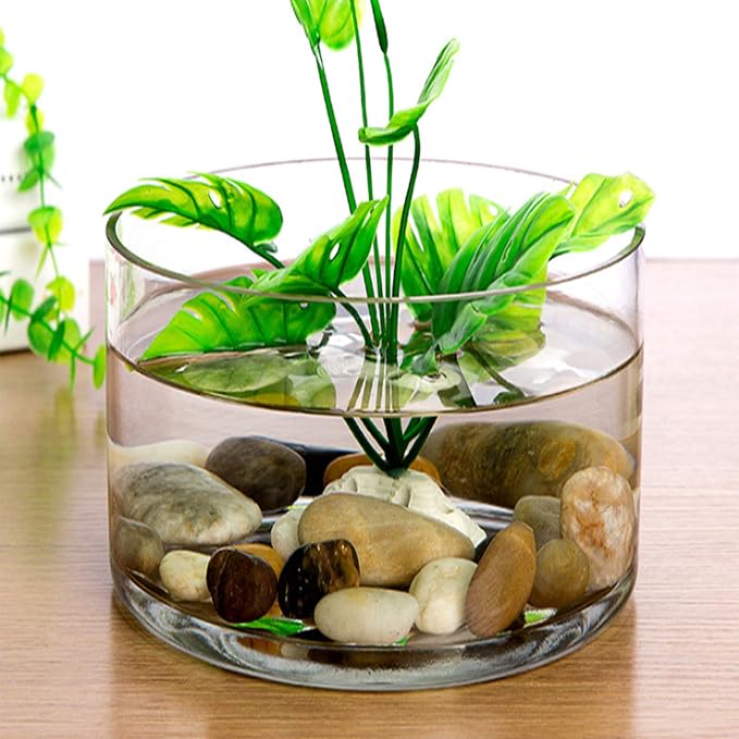 WGV Cylinder Vase, Width 10", Height 8", Floral Container, Planter Terrarium - Image 6